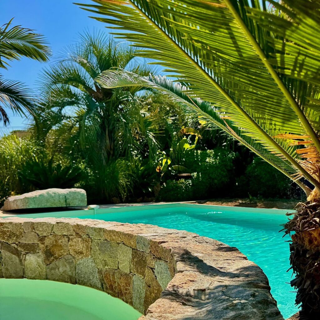 Gros oeuvre & Maçonnerie - Rénovation piscine desjoyaux, rénovation structure, muret en pierres sèches