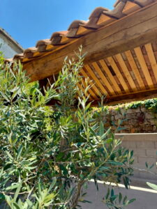 PMC Maçonnerie - Tavera - Gros oeuvre - Réalisation d'une charpente traditionnelle pour un pool house corse